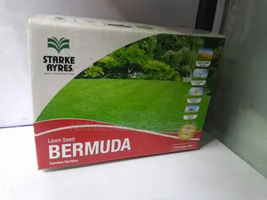 Bermuda Lawn Grass Seeds ( Cynodon Dactylon)