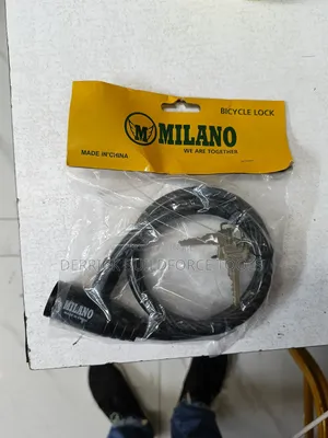 Bicycle Lock