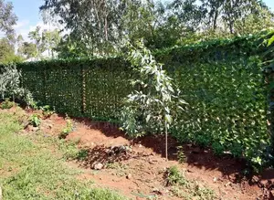 Security Artificial Fence