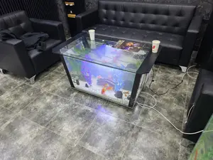Designer Aquarium Table - Unique Geometric Shape