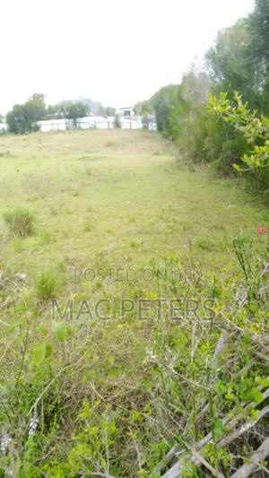 Prime Land in Muthaiga Nanyuki