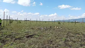 80 By 80 Land For Sale With Ready Tittle Deed