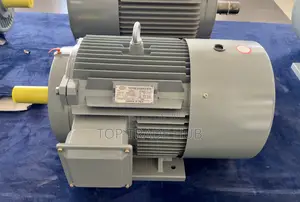 Stcl Italy Three Phase Electric Motor 30hp 2900rpm(High-speed)