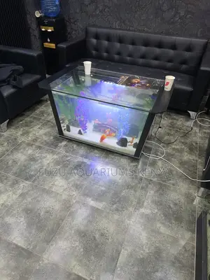 Aquarium Coffee Table Setup - 25,000 Only