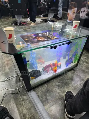 Architectural Aquarium Table - Unique Build