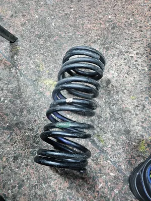 Rear Coil Springs Noah