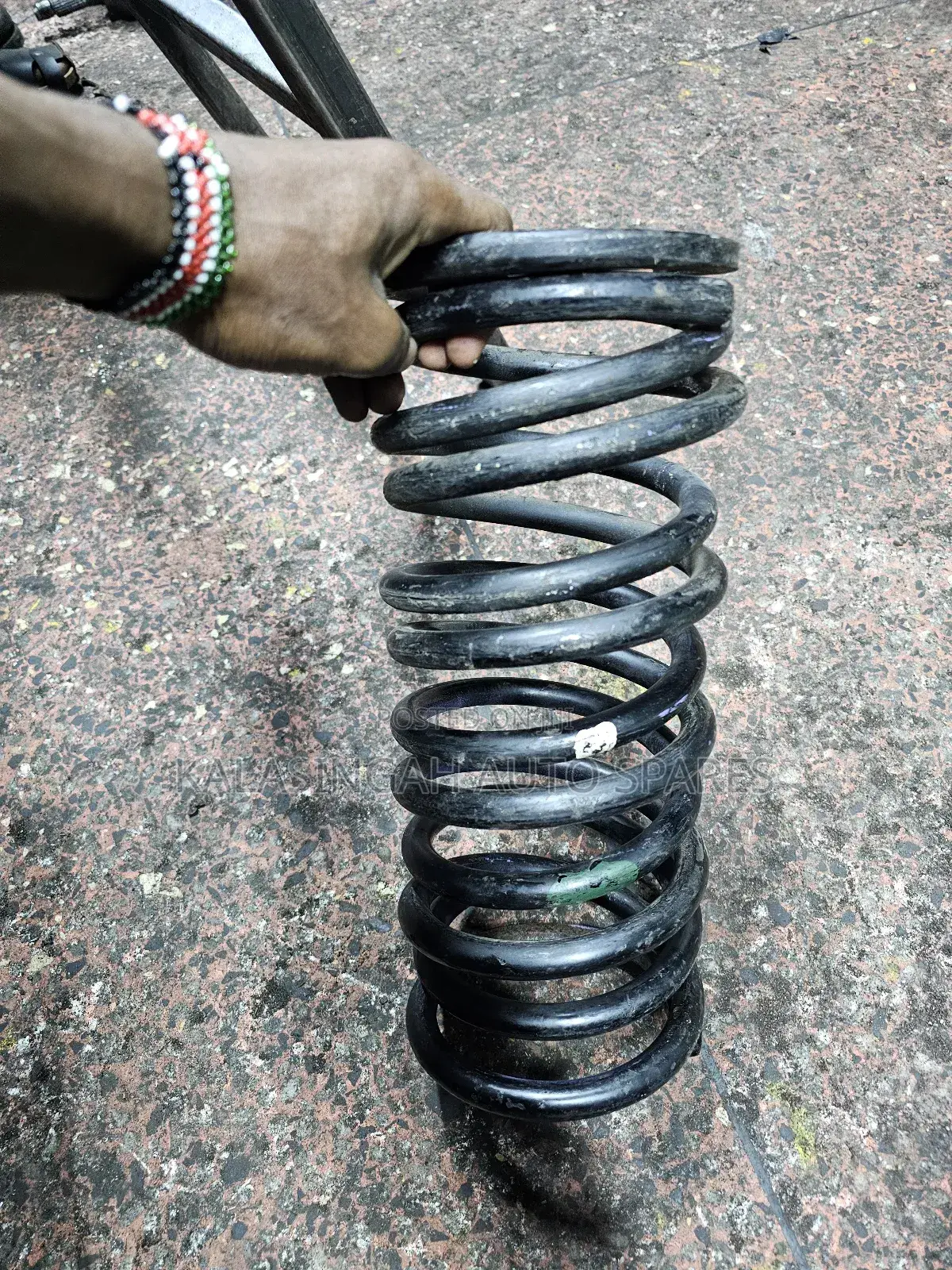 Rear Coil Springs Noah