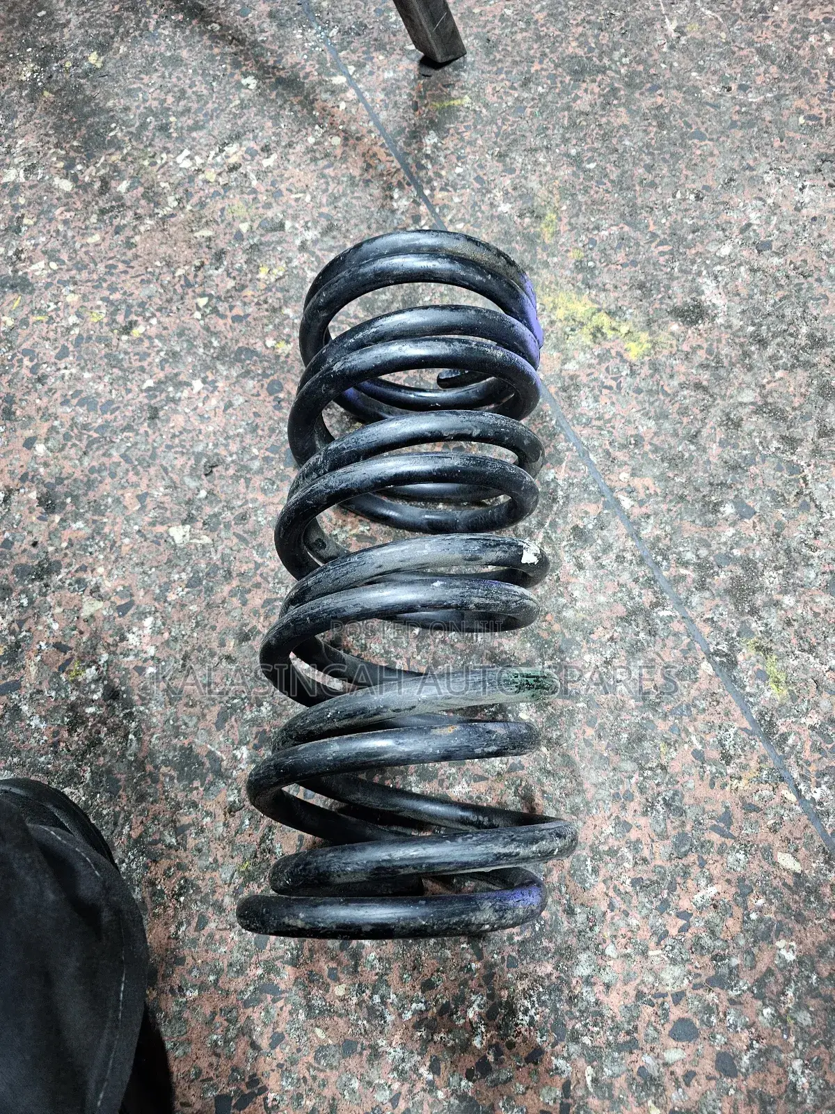 Rear Coil Springs Noah