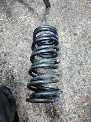 Rear Coil Springs Noah