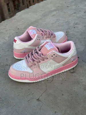 Nike Sb Dunk Low Elite in the Pink and White Sneakers