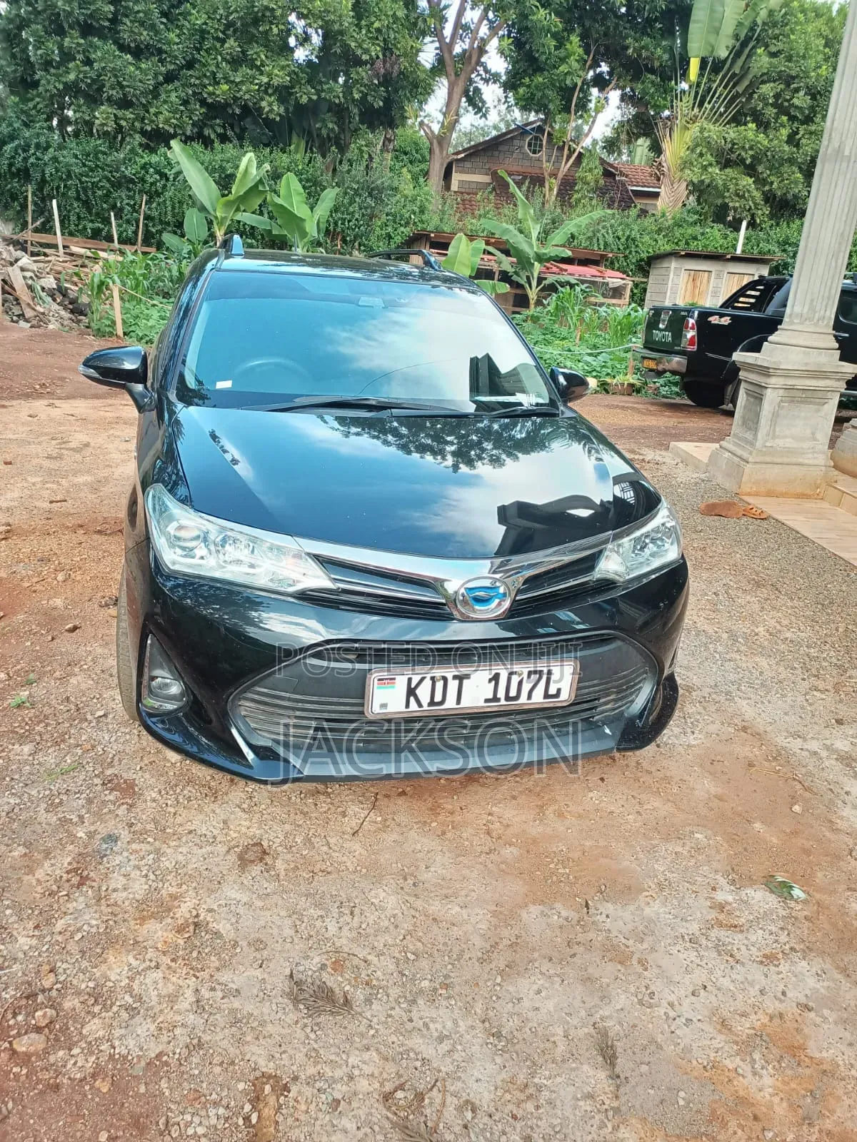 Car Hire Services