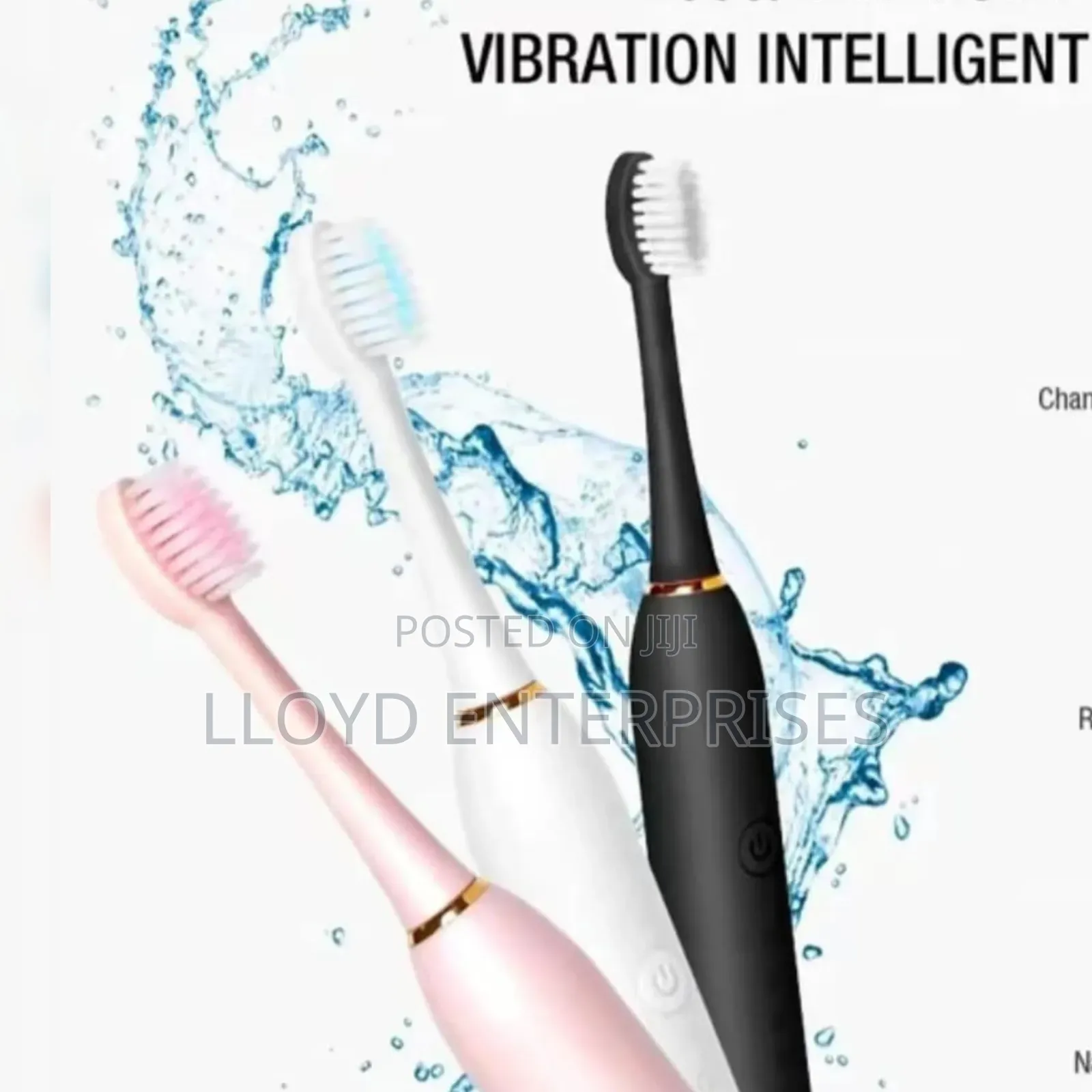 Sonic Electric Toothbrush