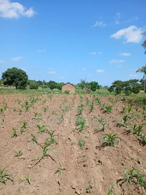 Gandini,Kwale Land for Sale