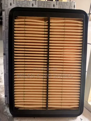 Nissan Navara Genuine Air Filter
