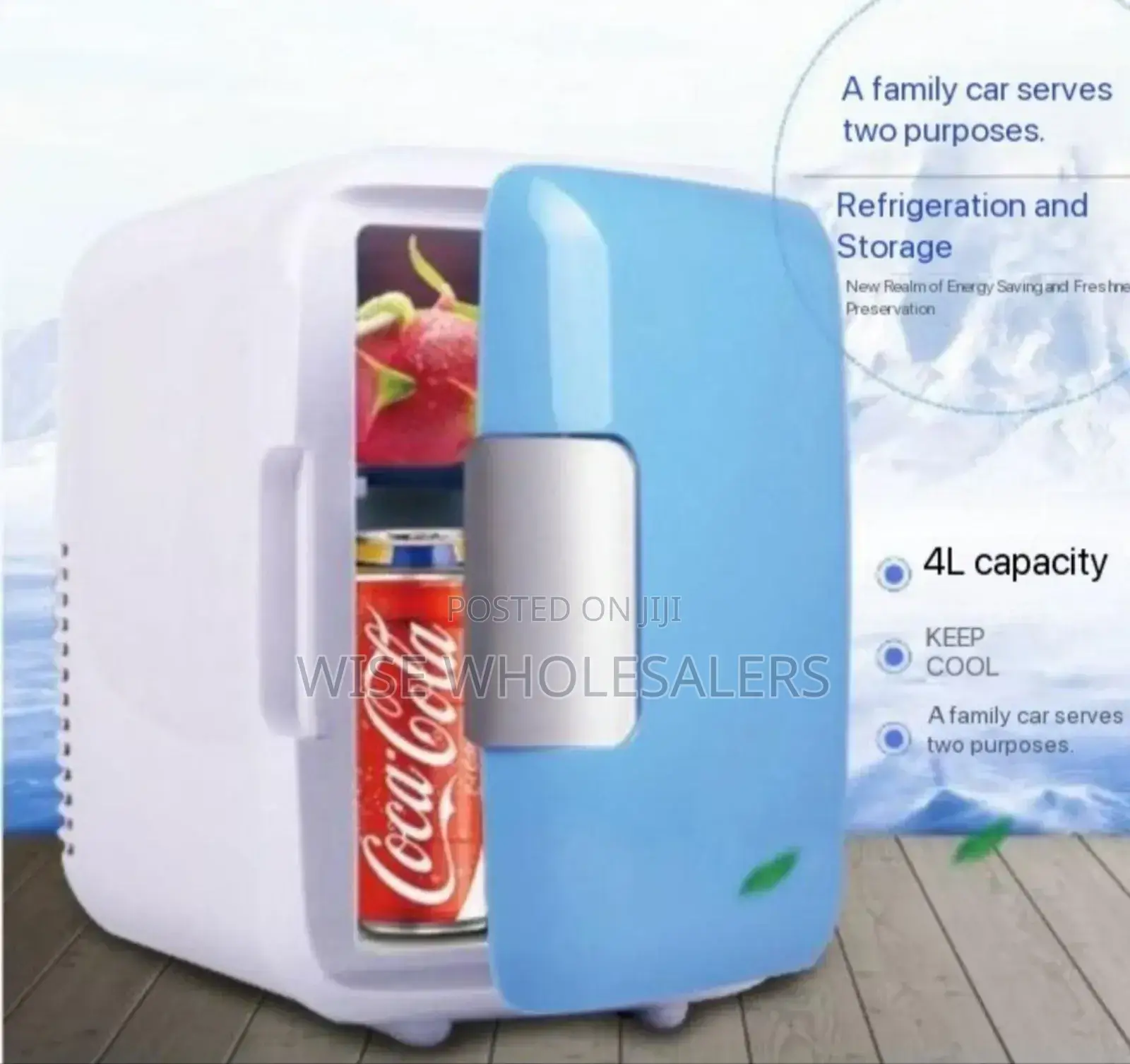 Portable Mini Car Refrigerator/Warmer.