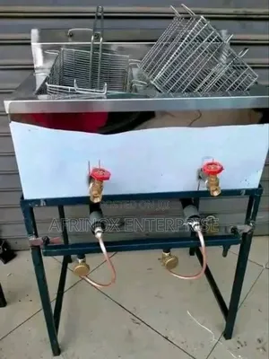 Double Well Chips Fryer