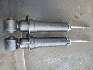 Rear Shocks Wish 4wd