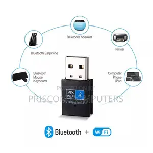 2-in-1 150mbps Wi-Fi Bluetooth 4.0 Dual Mode Usb Adapter