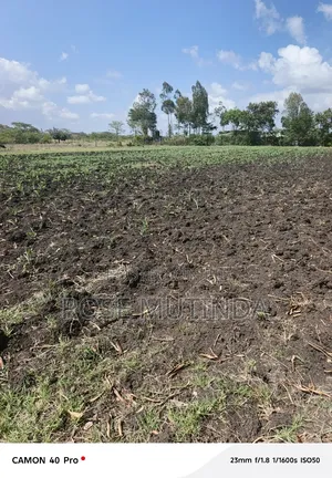 5acres at Kyeleni