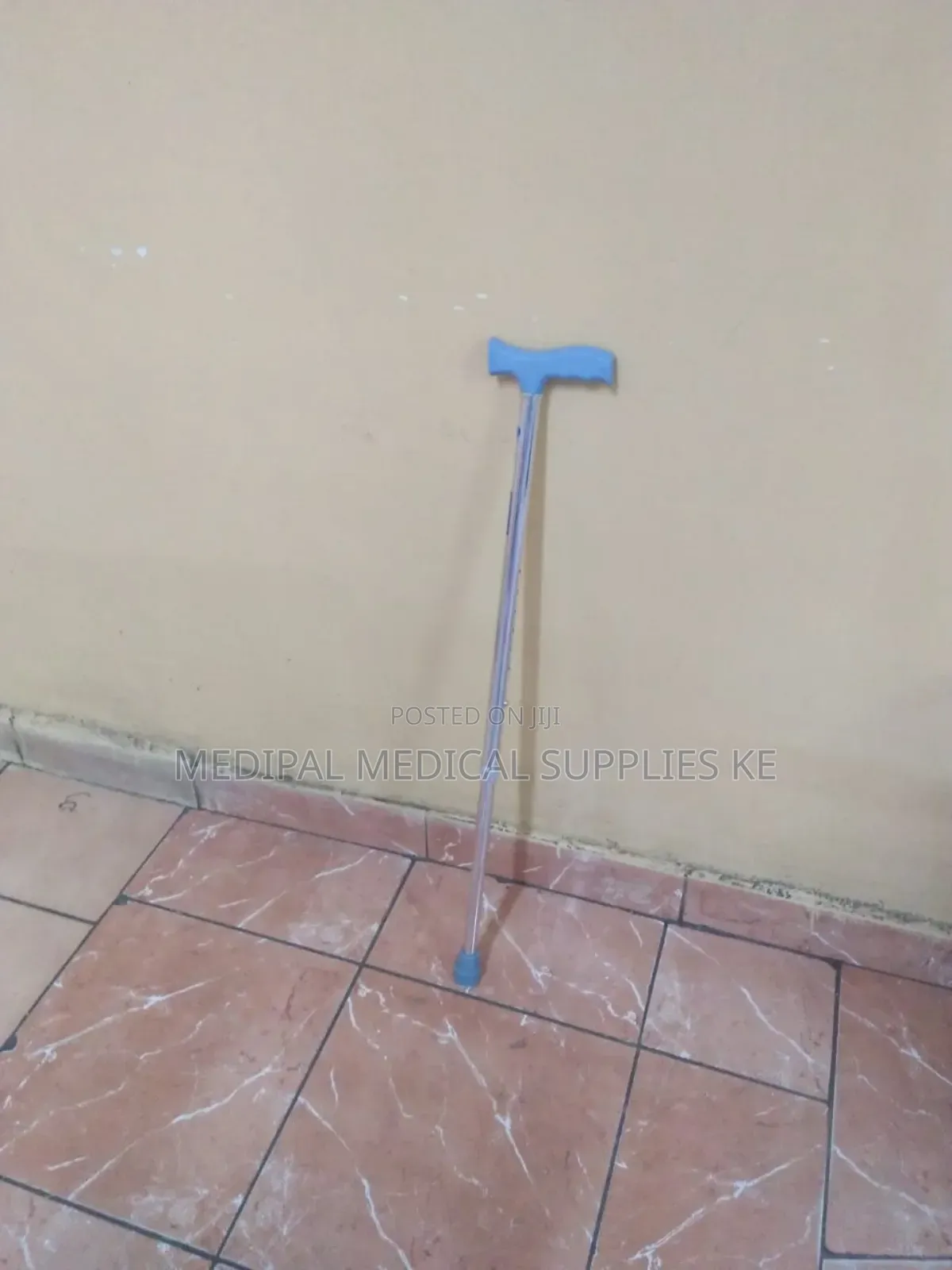 Walking Stick