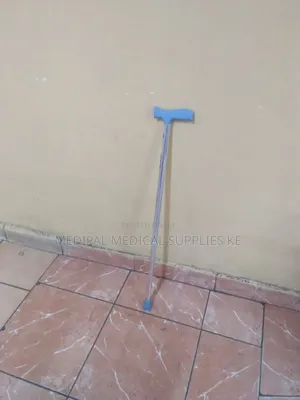 Walking Stick