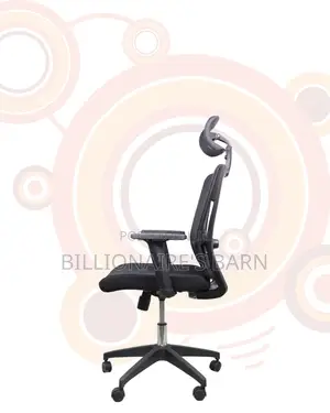 Ergonomic Mesh Office Chair | Budget-Friendly Ergonomic Choice