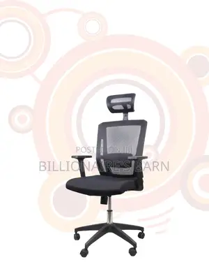 Ergonomic Mesh Office Chair | Budget-Friendly Ergonomic Choice