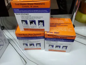 Disposable Dust Mask