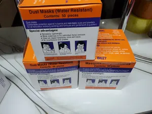 Disposable Dust Mask