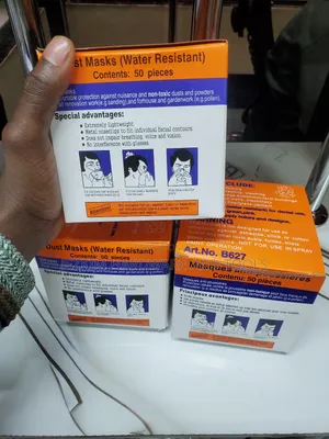 Disposable Dust Mask
