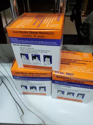 Disposable Dust Mask