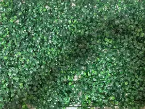 Uv- Stable Artificial Hedge