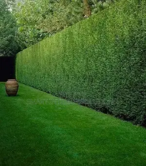 Outdoor Artificial Hedge With a Natural Look