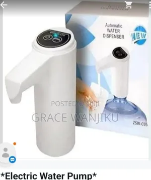 Big Automatic Water Pump