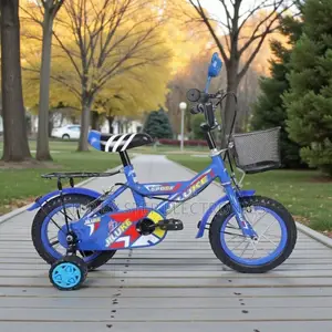 12 Inch Kids Bike 2–5 Years Training Wheel Bicycle for Beginners
