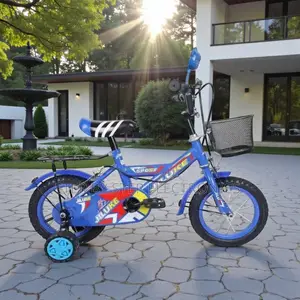 12 Inch Toddler Bike 2–5 Years Colorful Frame Best First Bicycle