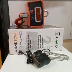 500kgs Crane Hanging Scale