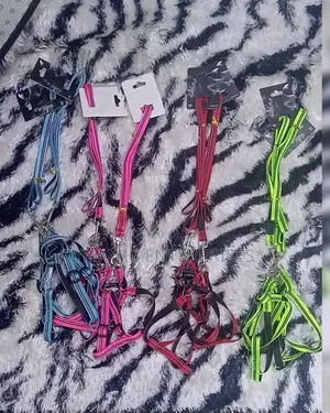 Sets of Dog Harnesses and Leashes in Various Colors.