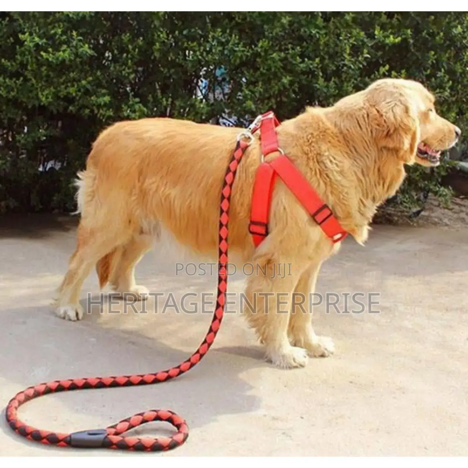 Dog Leash Strong Leash