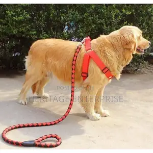 Dog Leash Strong Leash