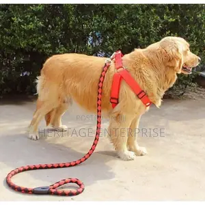 Dog Leash,