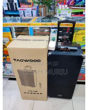 Tagwood 12" 12b Outdoor Indoor Party Speaker – Rechargeable