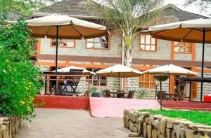 Garden Outdoor Umbrella Shades