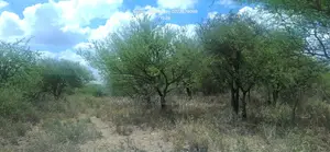 Seven Acres in Kiserian, Close to Sironka Valley Resort on Magadi Road