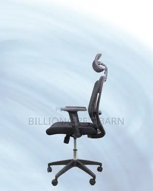 Adjustable Mesh Seat With Headrest | Ideal for Students Creatives
