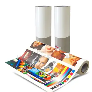Pu Eco-Solvent Printable Heat Transfer Vinyl Roll for Clothing