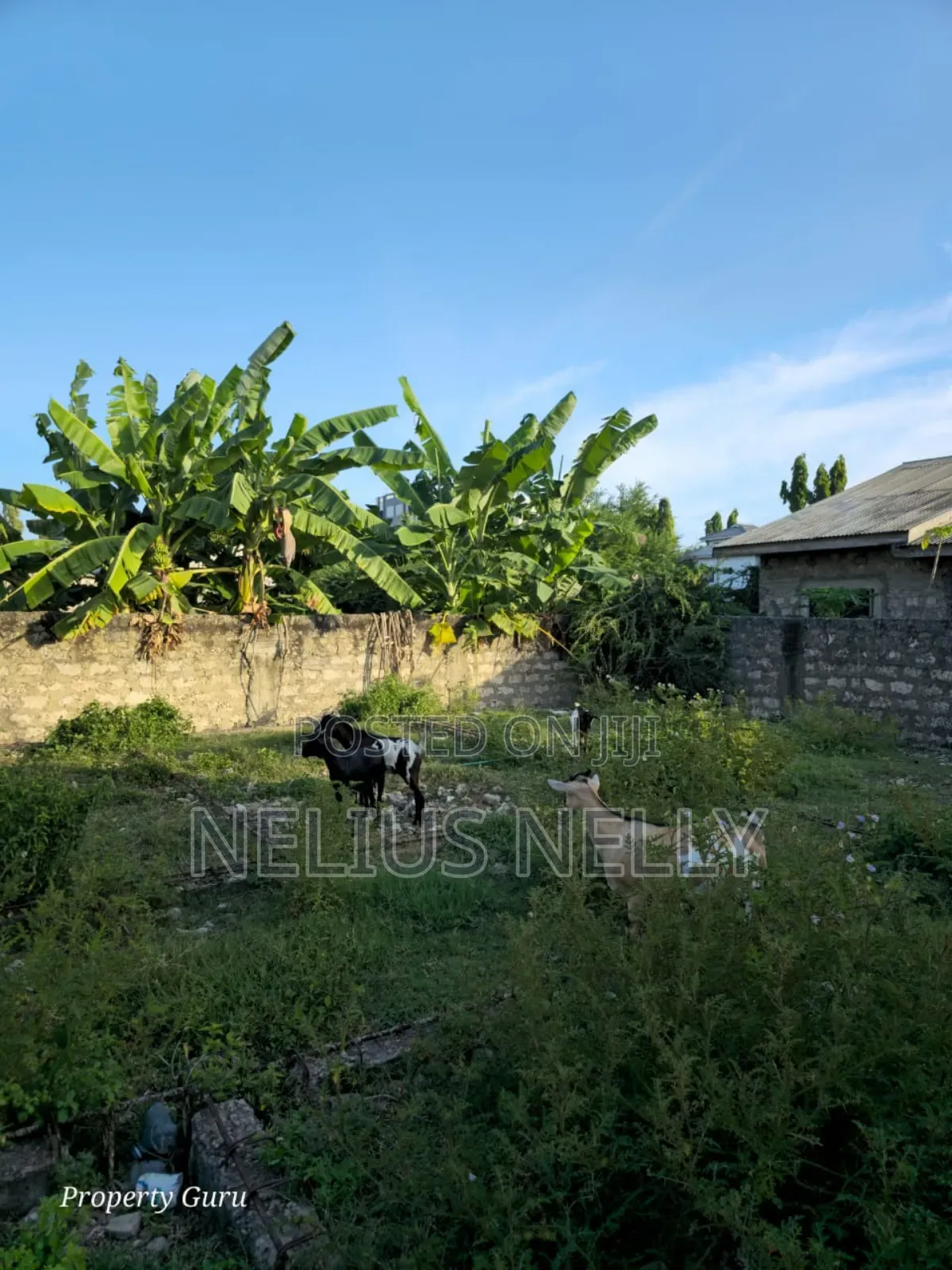Utange Plot for Sale 1/8 Acre