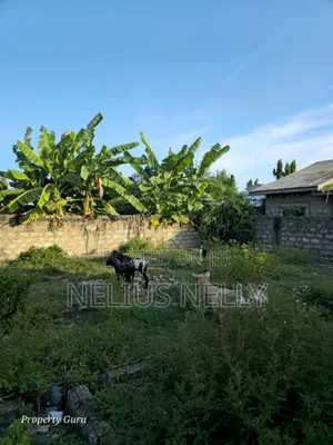 Utange Plot for Sale 1/8 Acre