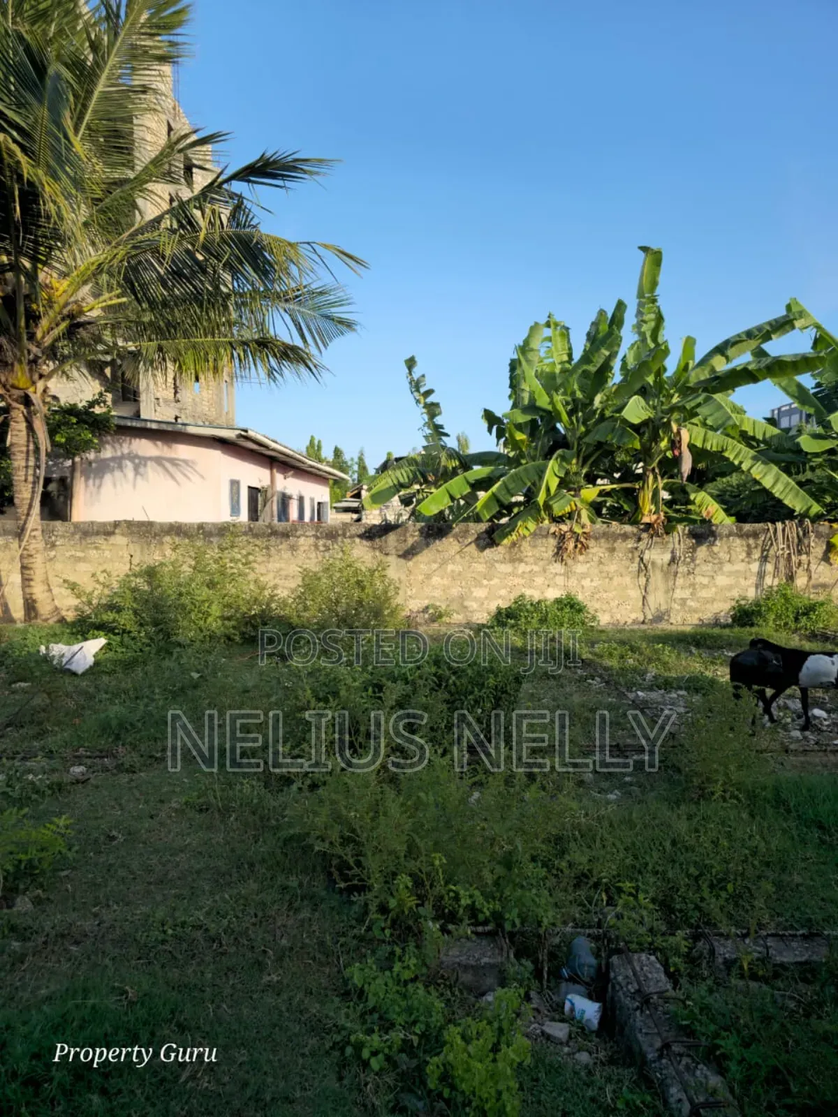Utange Plot for Sale 1/8 Acre