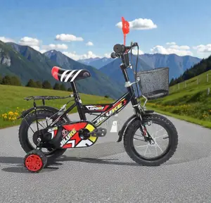 Front Basket and Comfy Seat 12,14,16 Inch 2-11 Yrs Children Kids Cycle